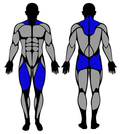 Overhead Deep Squat muscle groups