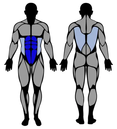 Swiss Ball Forward Roll muscle groups