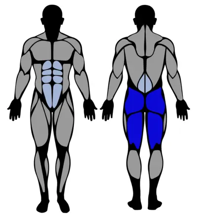 2DB Deadlift muscle groups